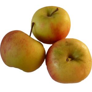 Produce - Apple Elstar