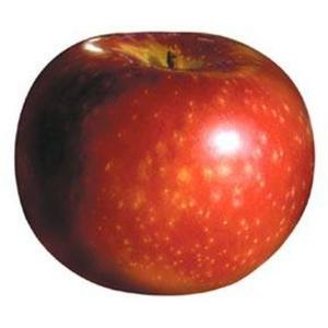 Produce - Apple Paulared Large