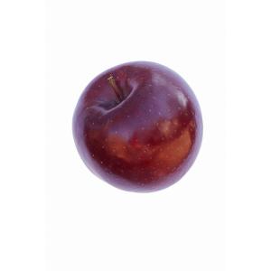 Produce - Apple Rome