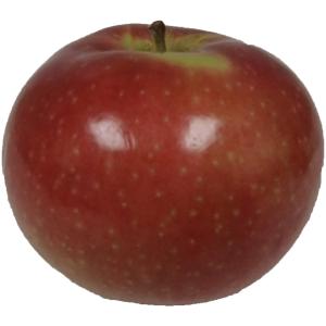 Produce - Apples Mcintosh 100ct