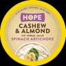 CASHEW & ALMOND SPINACH DIP