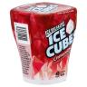 ICE CUBE CINNAMN BTL