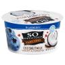 COCO BLUEBERRY YOGURT