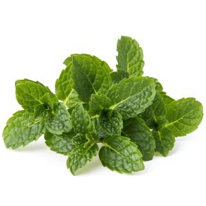 Fresh Herbs - Mint