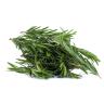 Infinite - Herbs Rosemary