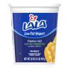 LOW FAT MANGO YOGURT