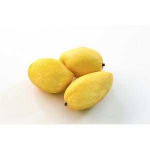Produce - Mango Yellow
