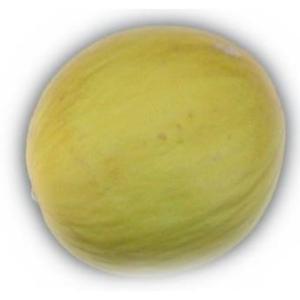 Fresh Produce - Melon Prince