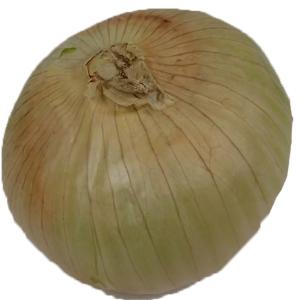 Produce - Onions Sweet