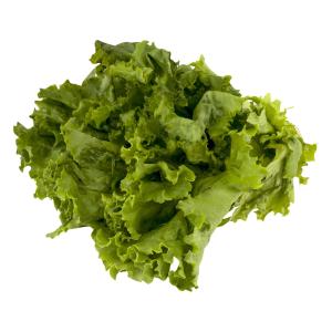 Organic Produce - Organic Lettuce Green Leaf