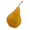 Organic Produce - Pears Bosc