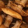 Produce - Portabello Mushroom Caps