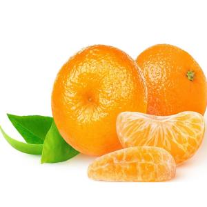 Florida - Tangerine Dancy