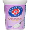 WHOLE MILK YOGURT